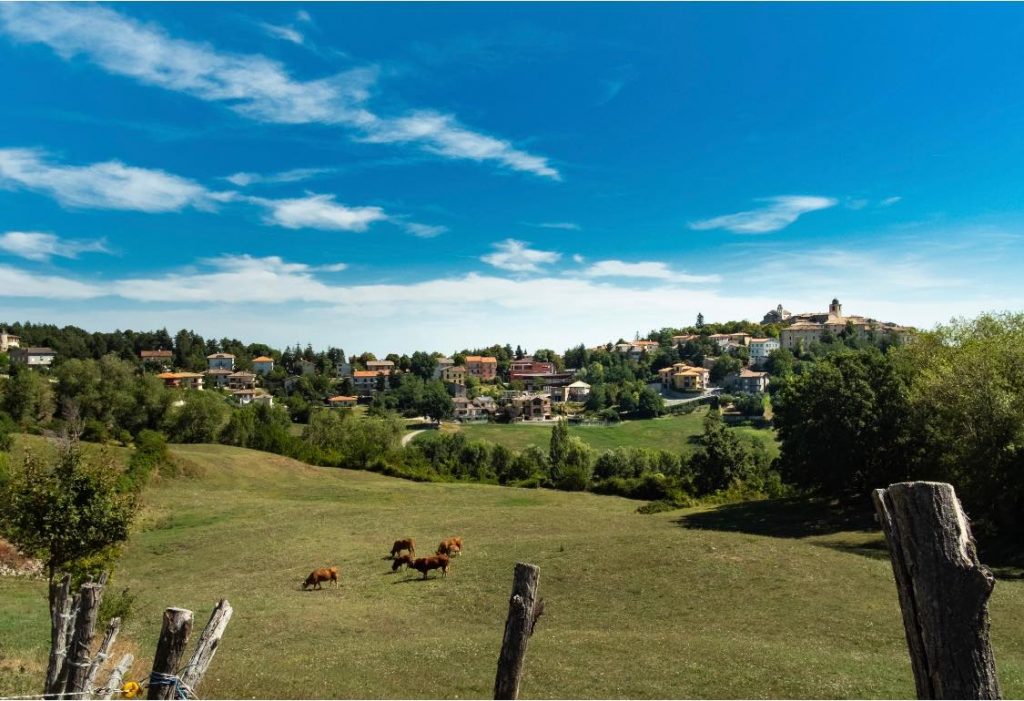Orizzonti Infiniti: Trekking Panoramico sul Cammino del Borromeo e Altri Sentieri