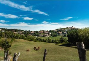 Orizzonti Infiniti: Trekking Panoramico sul Cammino del Borromeo e Altri Sentieri