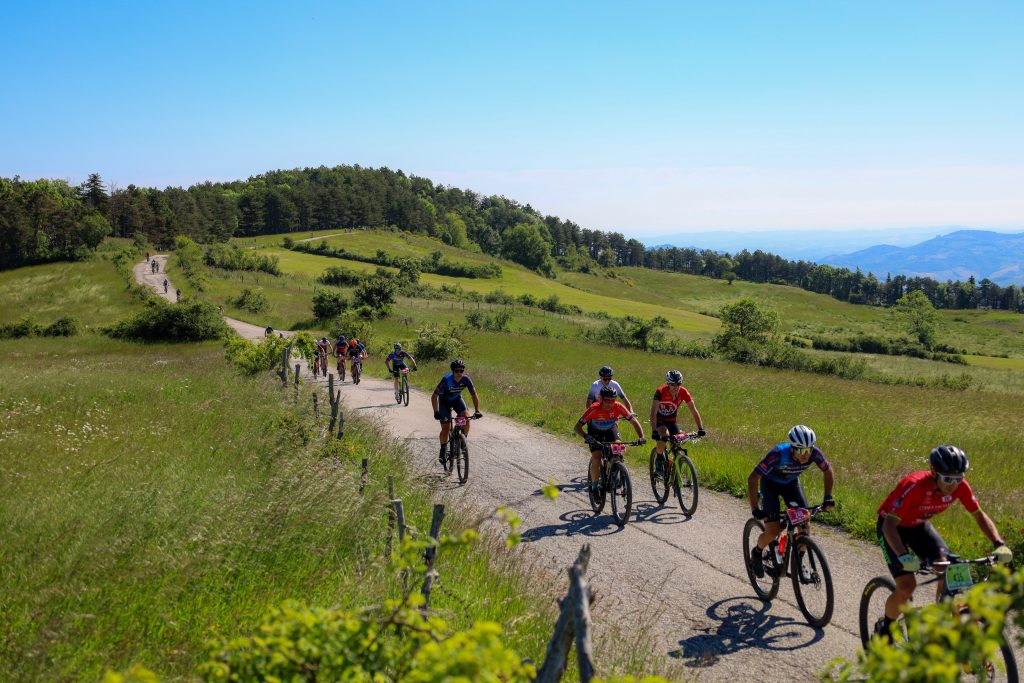 Avventura su Due Ruote: Pedalare nel Cuore Panoramico di Monte Grimano Terme