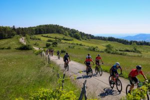 Avventura su Due Ruote: Pedalare nel Cuore Panoramico di Monte Grimano Terme
