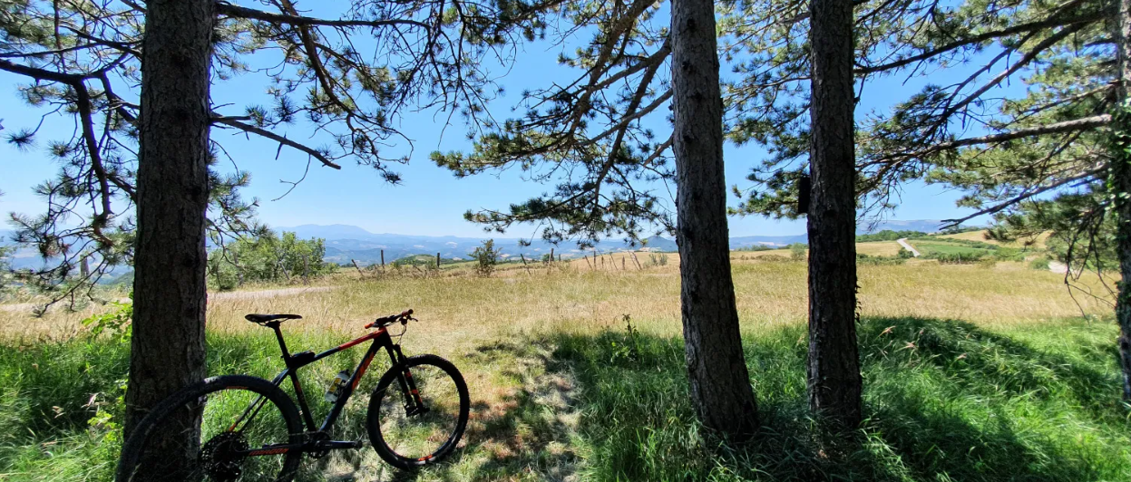 A Beautiful Trekking or MTB Route? Here It Is!